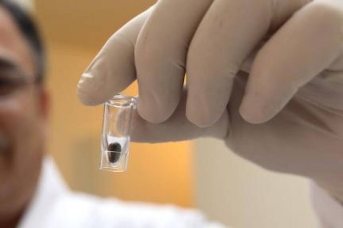 Van 31 casos de Rickettsiosis en BC