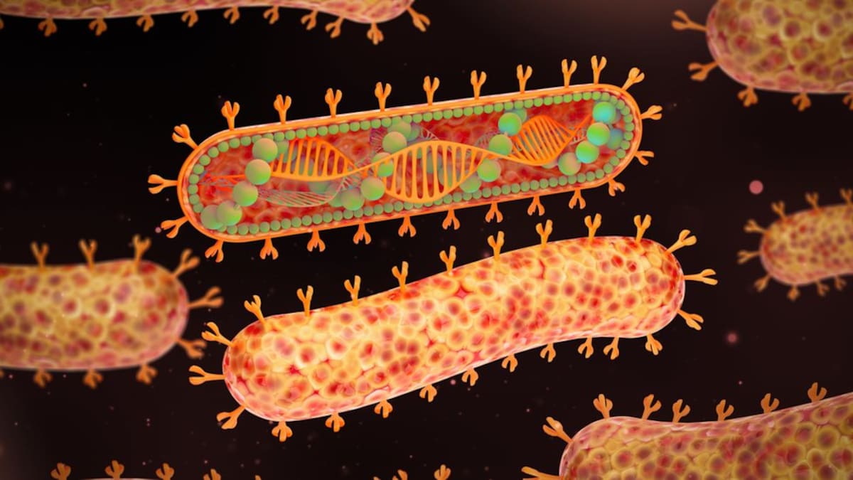 Lo más recomendable es mantener distancia con quienes presentan signos de enfermedad. En caso de tener síntomas, lo ideal es quedarse en casa para cortar cadenas de transmisión.