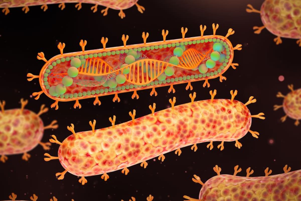 Nuevo caso de virus Marburgo en Etiopía alerta a la OMS