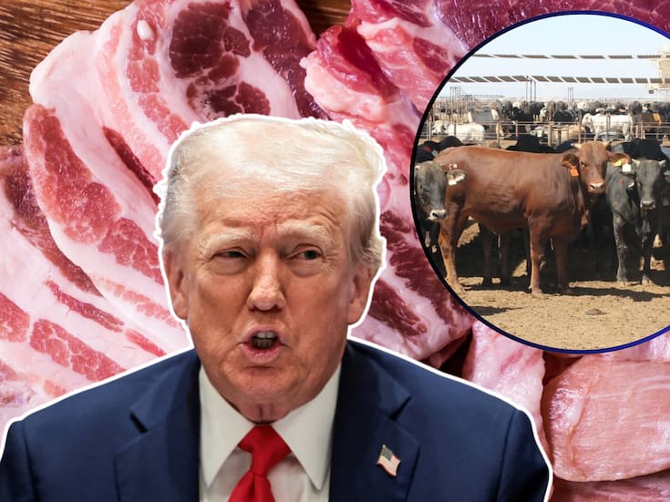 Trump impulsa narrativa antimigrante con acusaciones insólitas: migrantes “encarecen la carne” por traer ganado enfermo