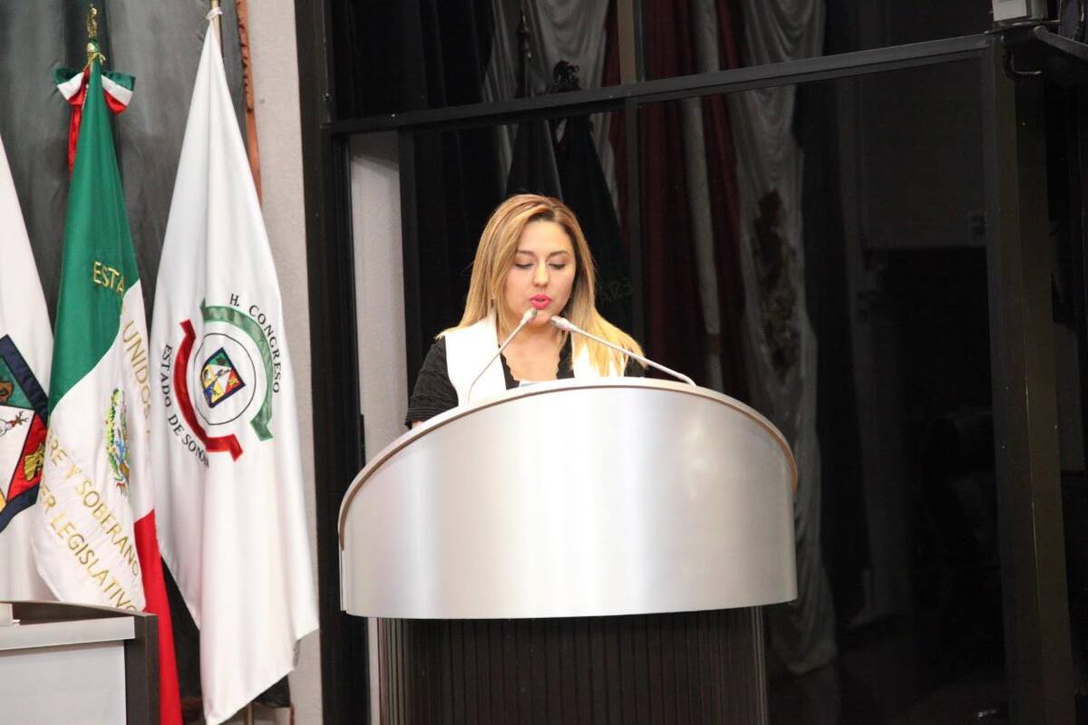 Plantea diputada Platt cámaras obligatorias en estancias y guarderías