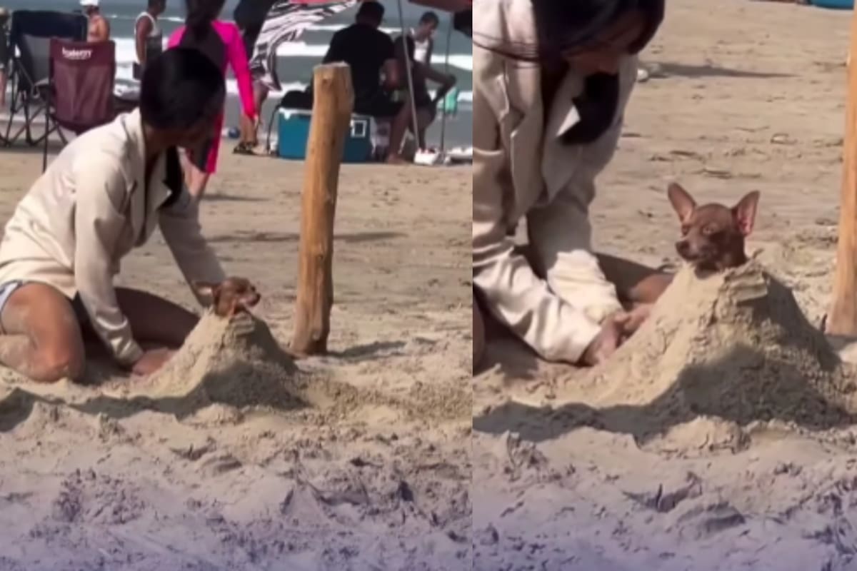 “Lo convirtió en un volcán”: joven es captada enterrando a su perrito en la playa y causó ternura en redes