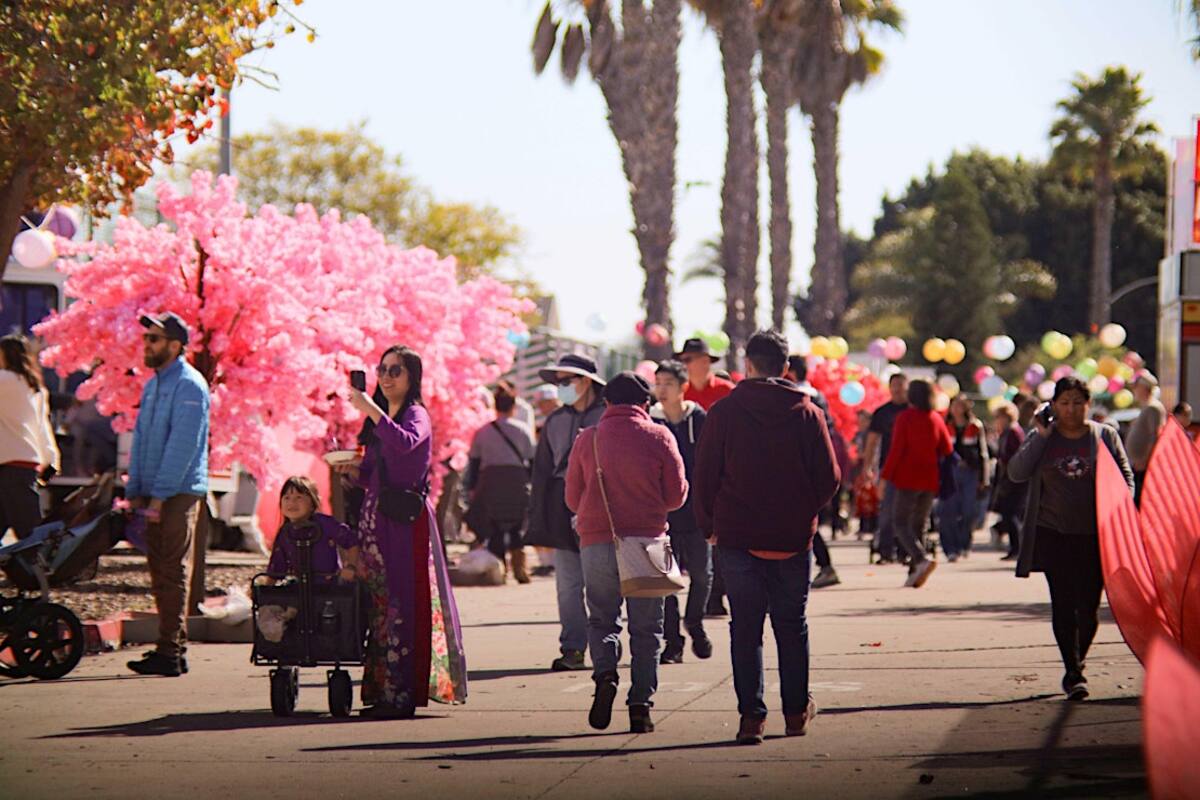 Foto: cortesía