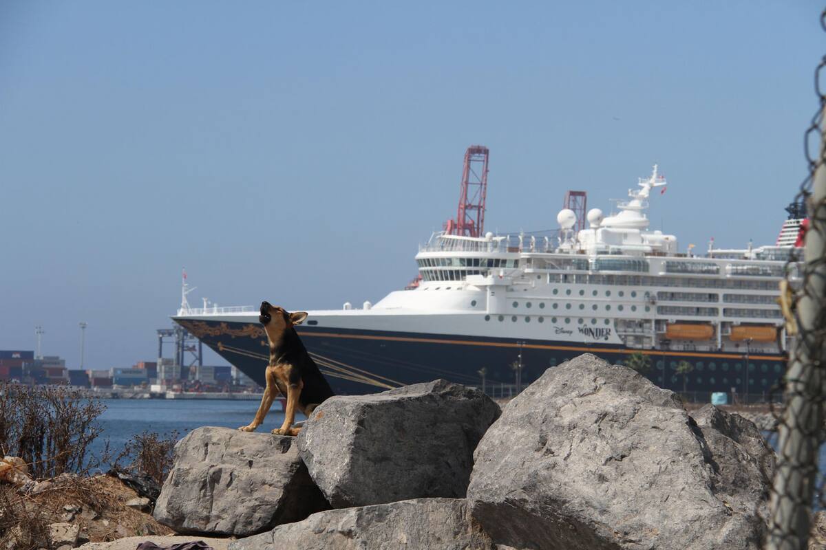 Cruceros califican mal a Ensenada debido a la suciedad: Secture