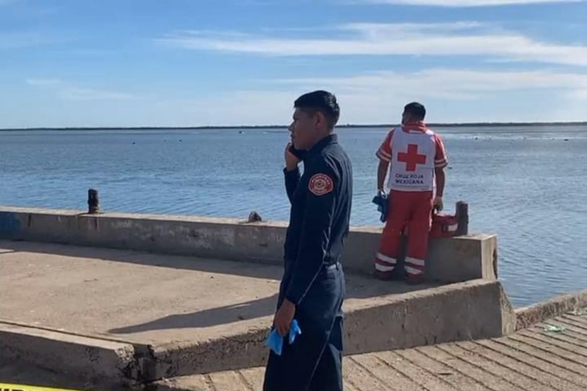 Piden pescadores del Sur de Sonora apoyos para armar jaulas "antitiburones"