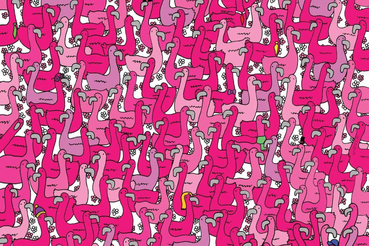 ¿Puedes hallar el corazón rosa entre los flamencos? Este reto visual es muy difícil de resolver