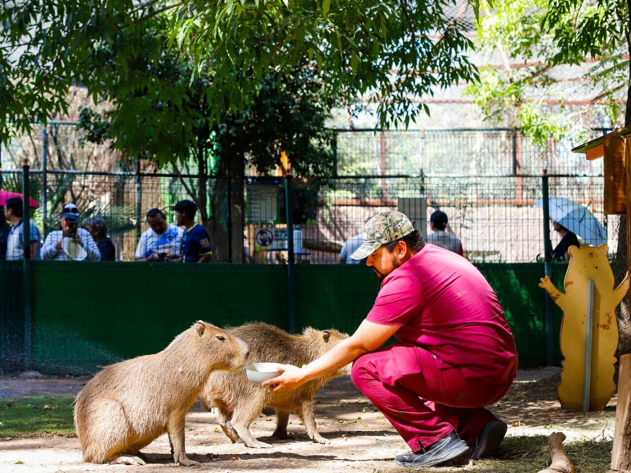 Foto: Juan Jesús Morales