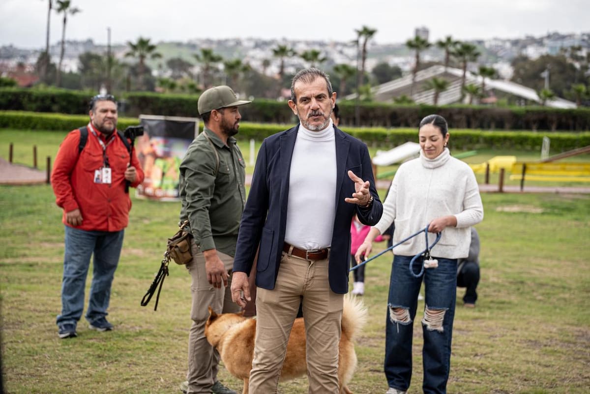 Tras un año de capacitación profesional, los caninos concluyeron el curso internacional “Perro Buen Ciudadano”, que los acredita como aptos para actividades educativas y de acompañamiento. Foto: Border Zoom