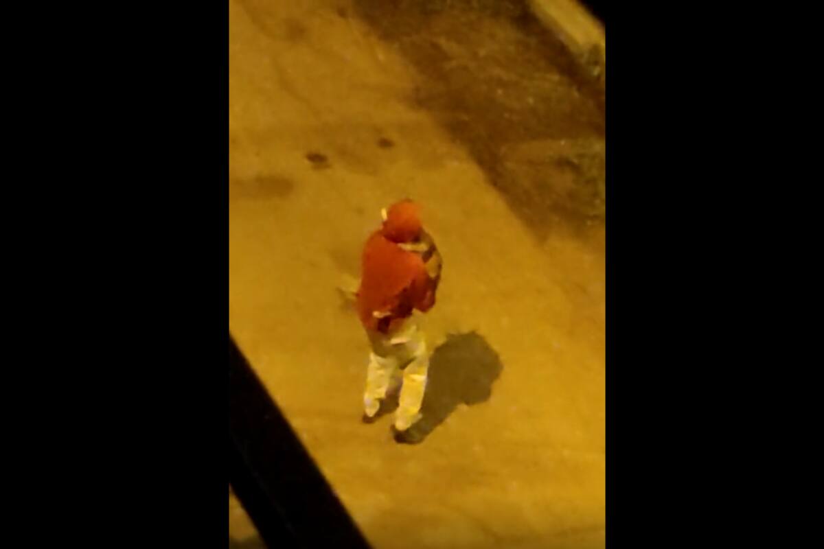TIKTOK VIDEO: Hombre aparece bailando con su mascota en la calle