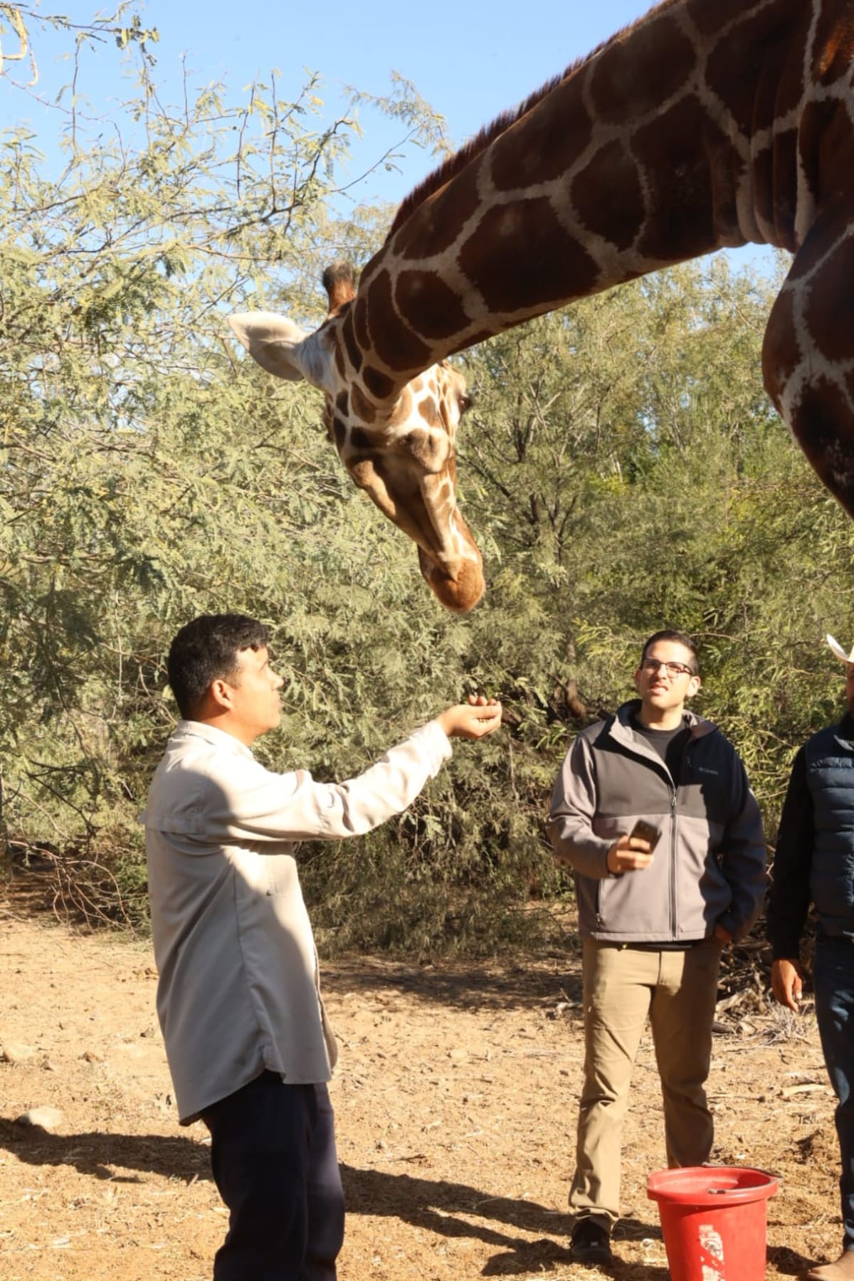 Foto: Teodoro Borbón.