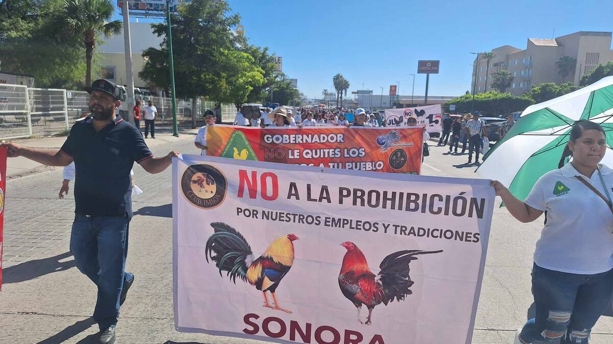 Galleros se preparan para manifestación pacífica rumbo al Congreso de Sonora