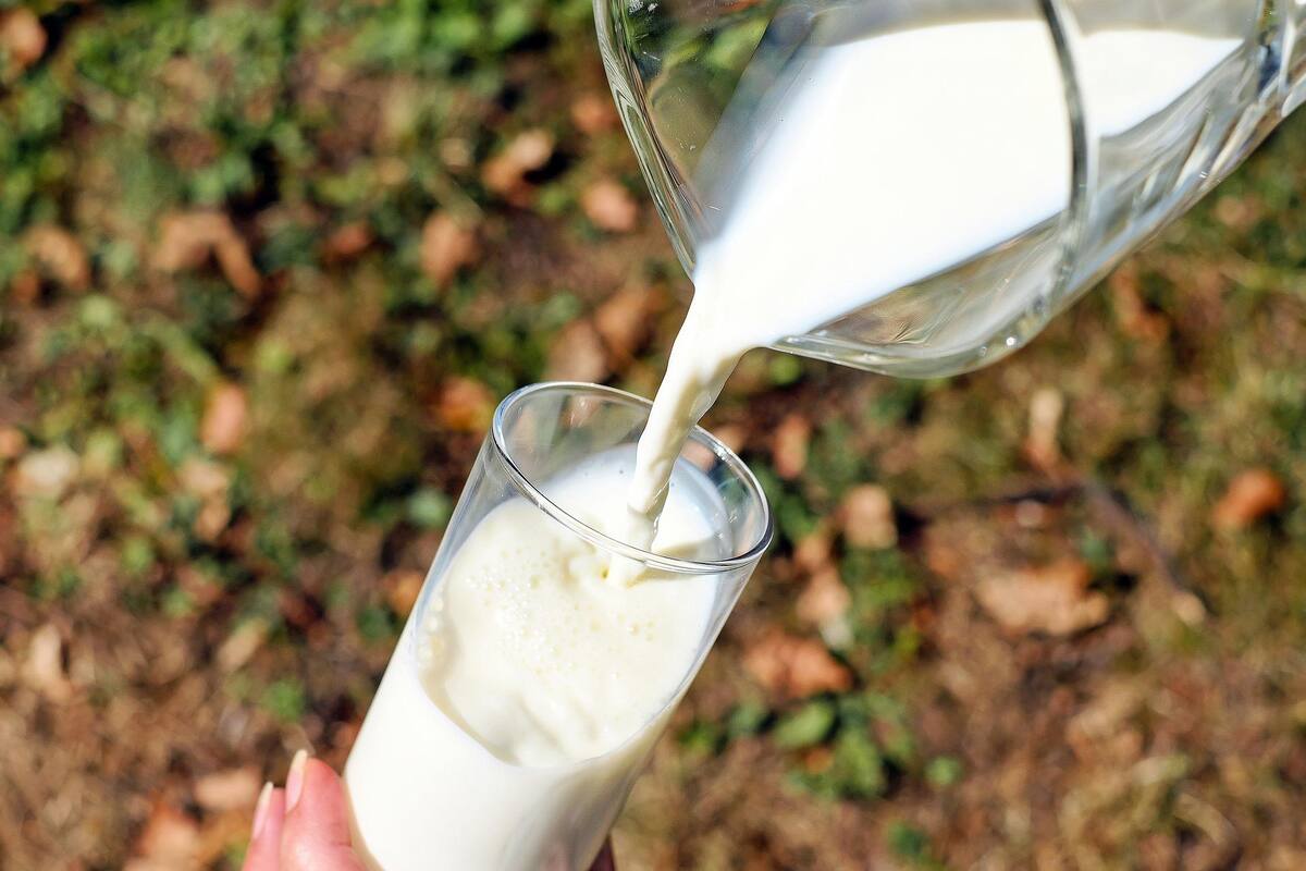 Profeco realiza estudios y encuentra leche de vaca"... que no es de vaca