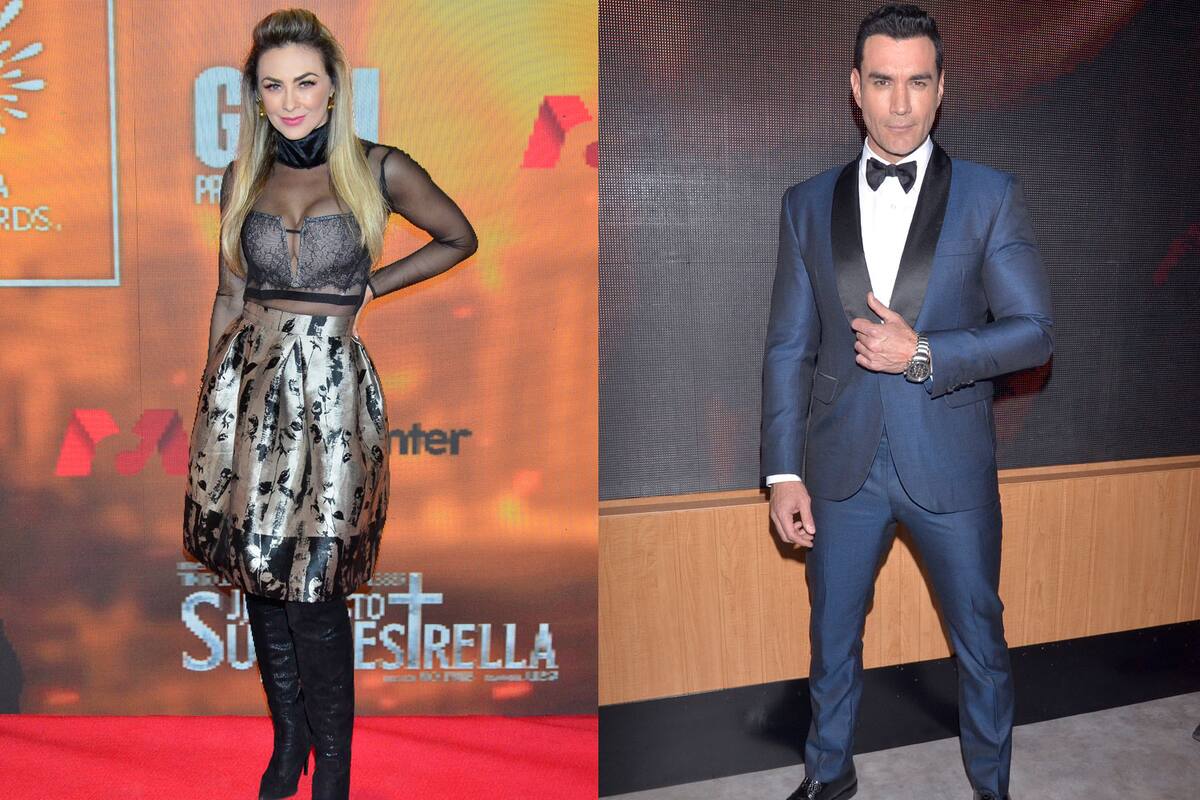 Habla David Zepeda de su relación con Aracely Arámbula