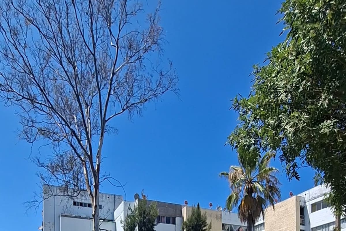 Habitantes del fraccionamiento aseguran que los robos de vehículos, baterías y autopartes son constantes, por lo que solicitan mayor iluminación para reforzar la seguridad.