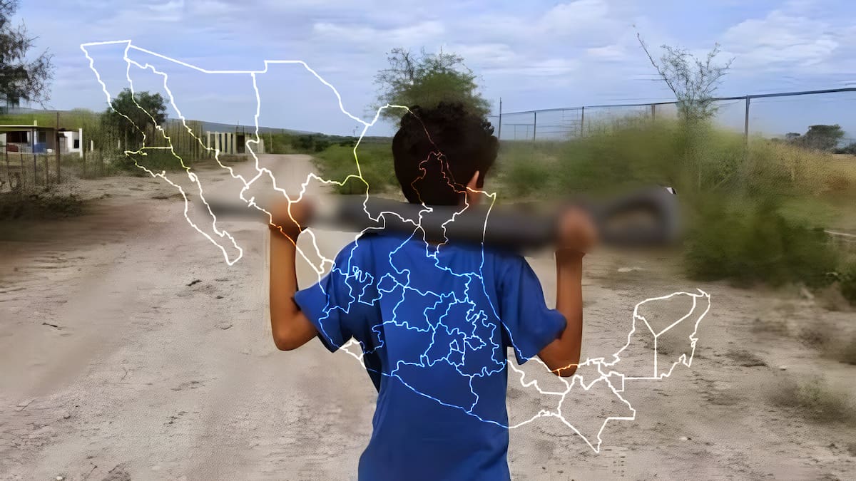El punto de acuerdo legislativo explica que el término pollitos de colores nació en Sinaloa, donde se usa para referirse a los menores reclutados por los cárteles.   Archivo GH
