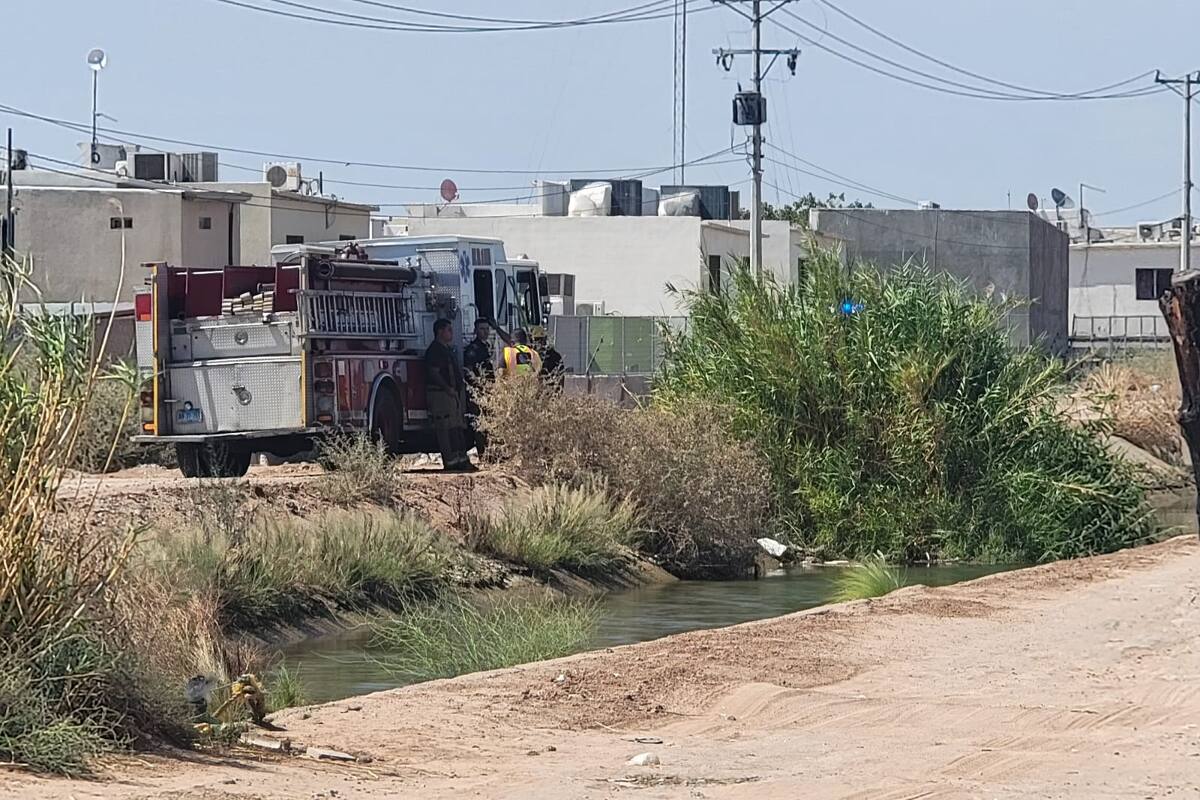 Hallan brazos y cabeza humana en un canal