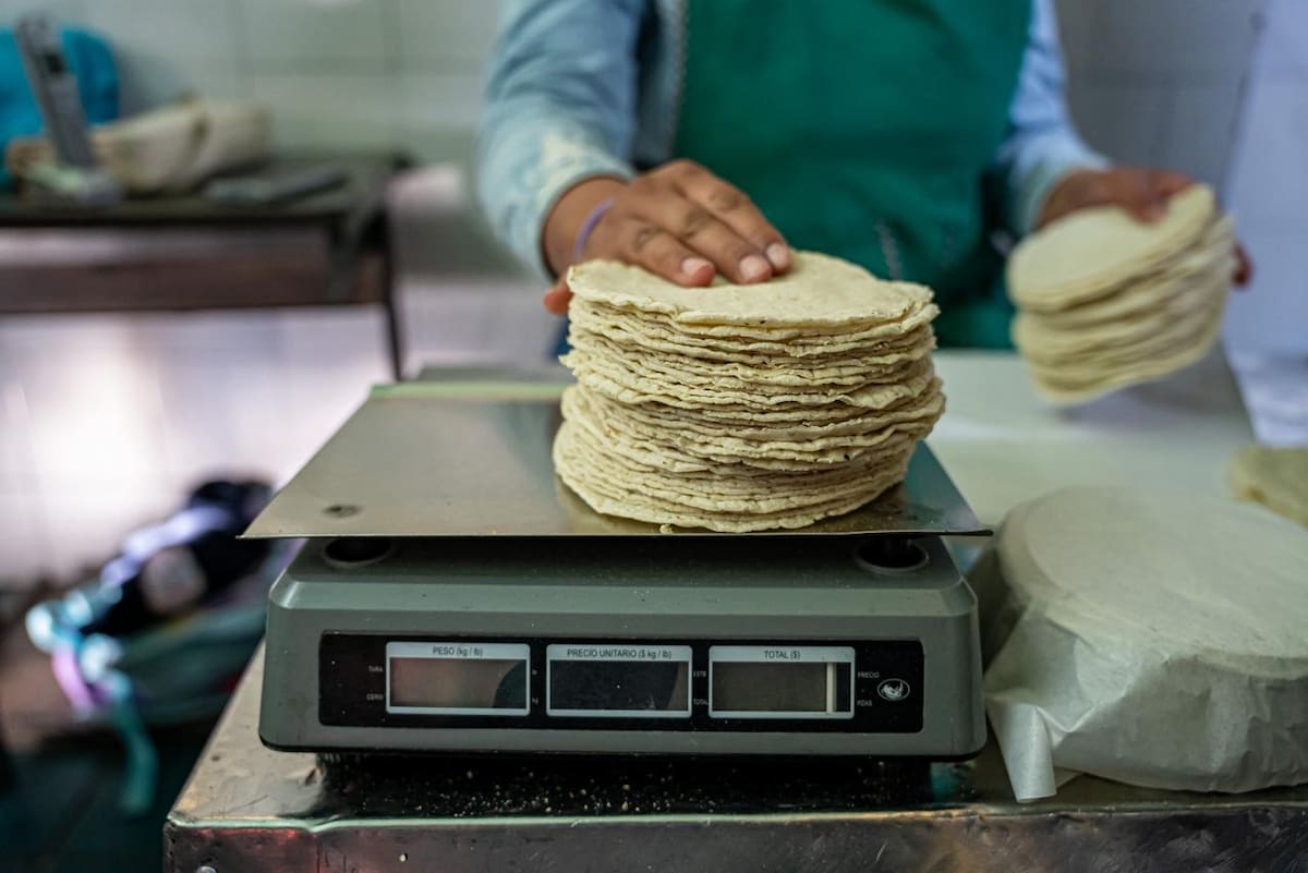 Comerciantes señalan que el abasto de insumos se mantiene estable y que el suministro de maíz continúa sin contratiempos. Foto: Border Zoom
