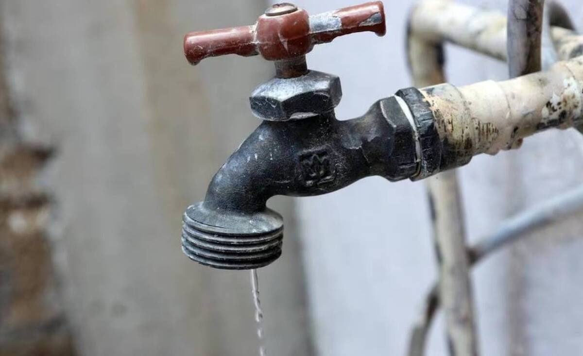 Para 2025, se prevé un recorte adicional de 346 millones de metros cúbicos.