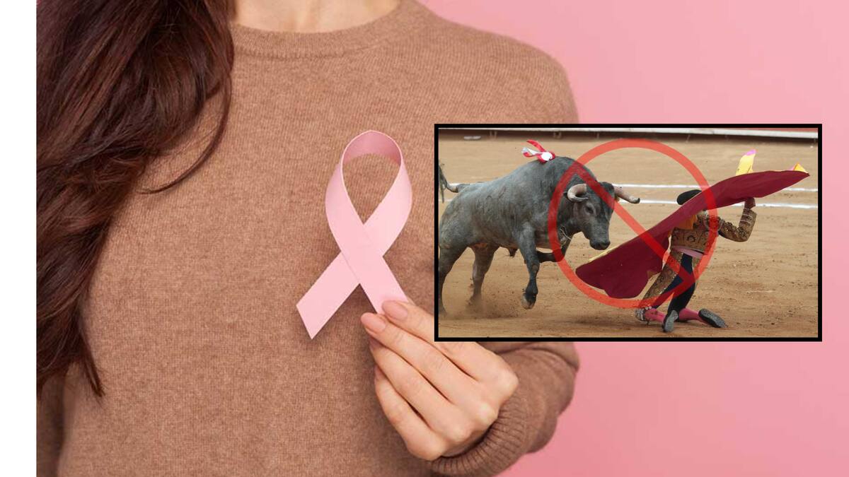 Fundación dedicada a la prevención del cáncer de mama rechazó recibir donativos provenientes de la corrida de toros por la reapertura de la Plaza Monumental de Mérida, argumentando respeto a su causa y sensibilidad ante el debate sobre el maltrato animal