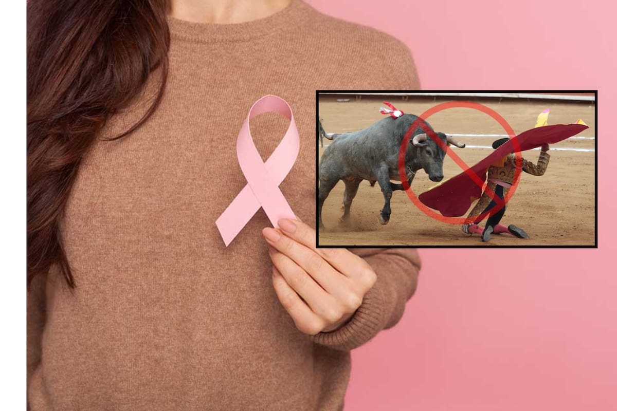 Fundación dedicada a la prevención del cáncer de mama rechazó recibir donativos provenientes de la corrida de toros por la reapertura de la Plaza Monumental de Mérida, argumentando respeto a su causa y sensibilidad ante el debate sobre el maltrato animal