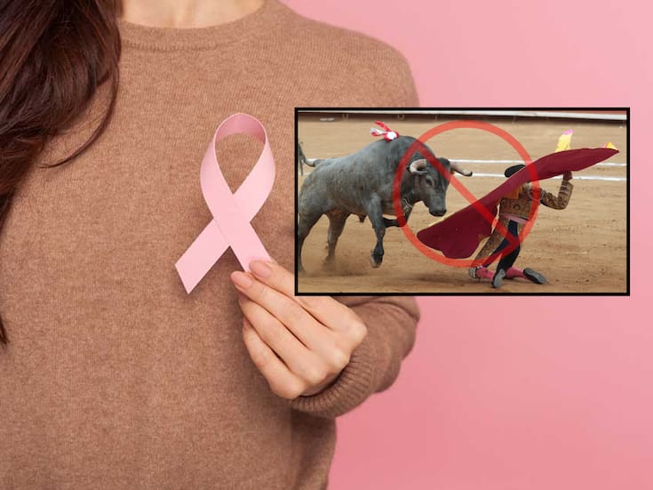 Fundación dedicada a la prevención del cáncer de mama rechazó recibir donativos provenientes de la corrida de toros por la reapertura de la Plaza Monumental de Mérida, argumentando respeto a su causa y sensibilidad ante el debate sobre el maltrato animal
