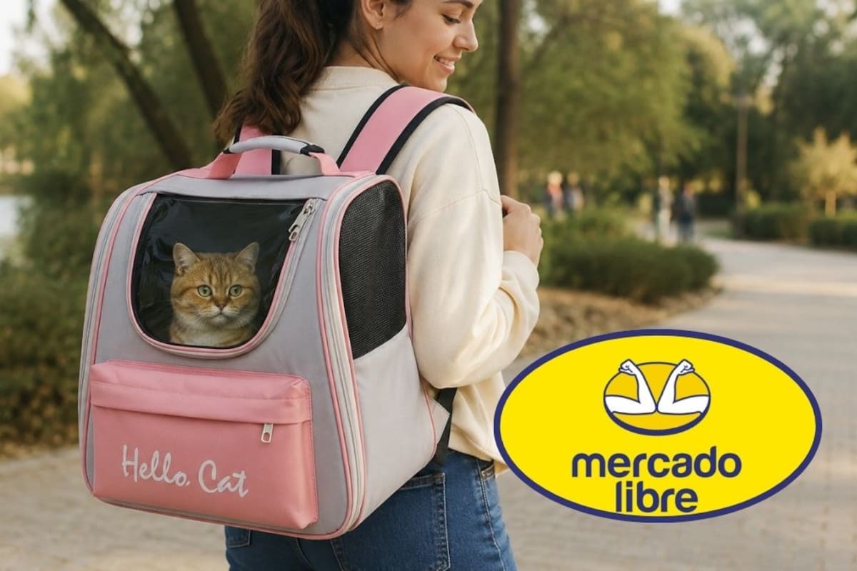 Mercado Libre reduce a 237 pesos el costo de la mochila para mascotas con ventana transpirable que reduce el estrés de tu compañero y soporta hasta 7.5 kilos de peso