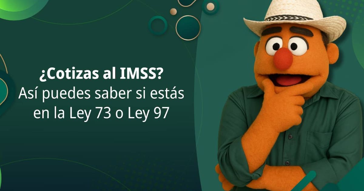Cómo saber si te pensionas con la Ley 73 o la Ley 97 del IMSS? Requisitos y semanas cotizadas en 2026