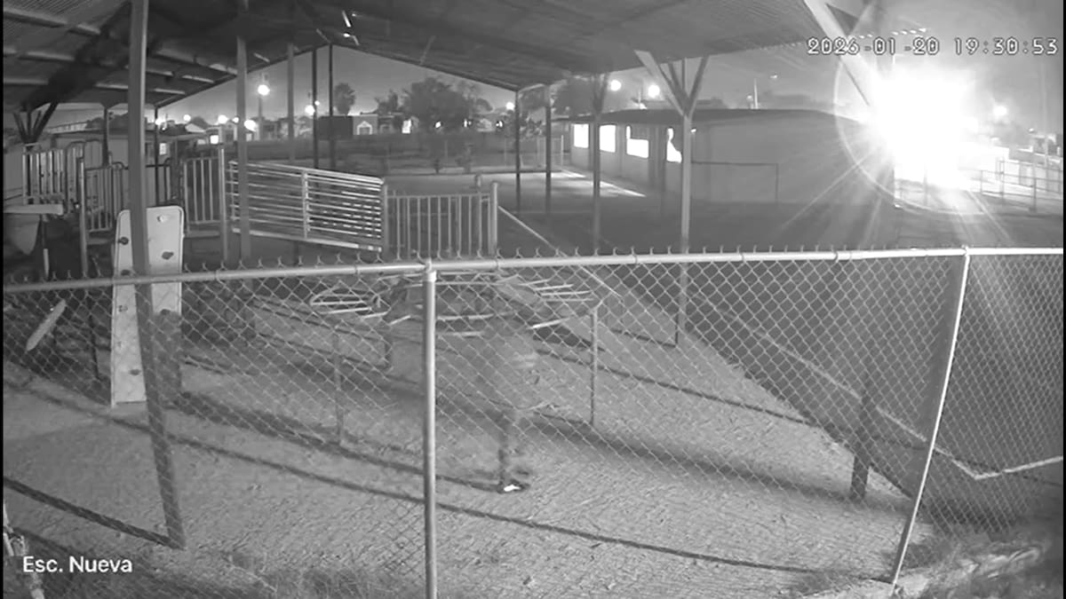 En el primer robo ingresaron al almacén y sustrajeron herramientas, bocinas y equipo utilizado para el mantenimiento del centro educativo; en el segundo robo intentaron robar el pasto sintético del campo de fútbol. Foto: Cortesía