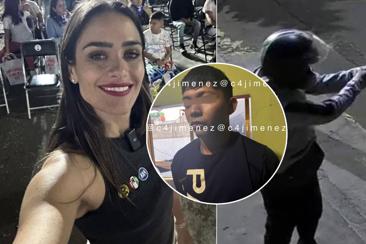 Ataque a Alessandra Rojo de la Vega: Confiesa detenido cuánto le pagaron y más detalles