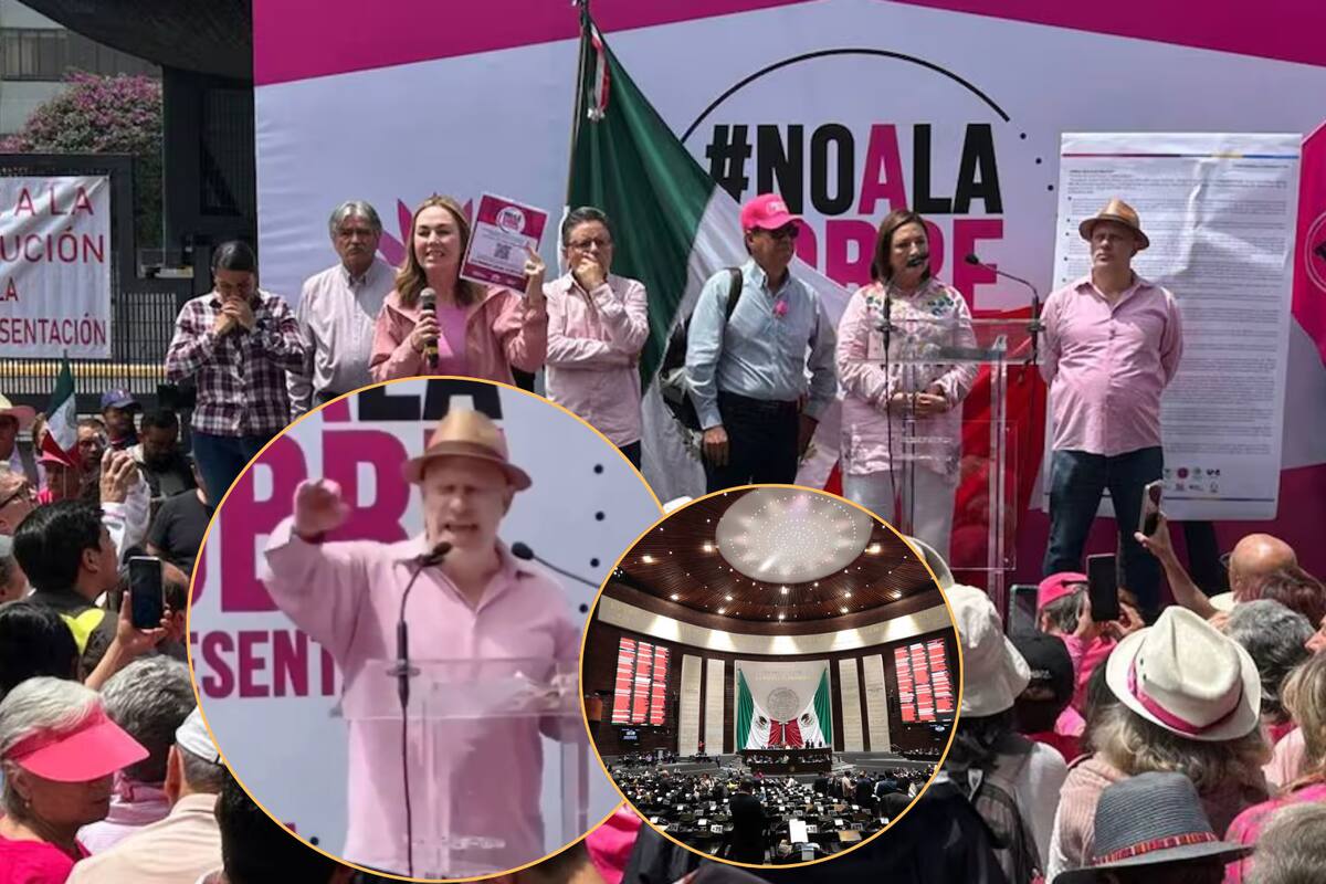 Frente Cívico Nacional marcha contra sobrerrepresentación de Morena; Marea Rosa se suma