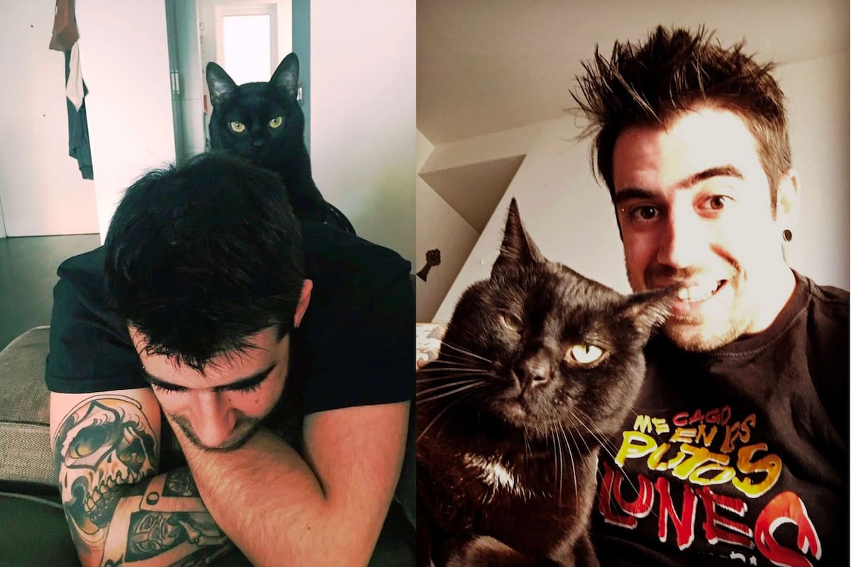 De luto "Auronplay", anuncia que murió su 'Don Gato'