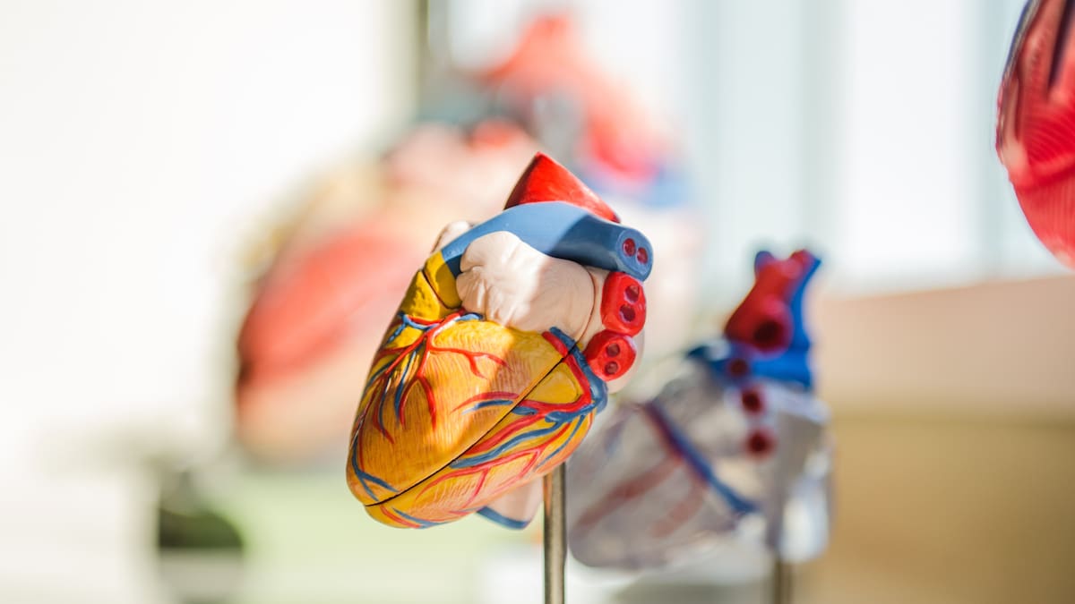 La hipertensión, conocida como el “asesino silencioso”, puede provocar infartos y otros problemas graves si no se controla.