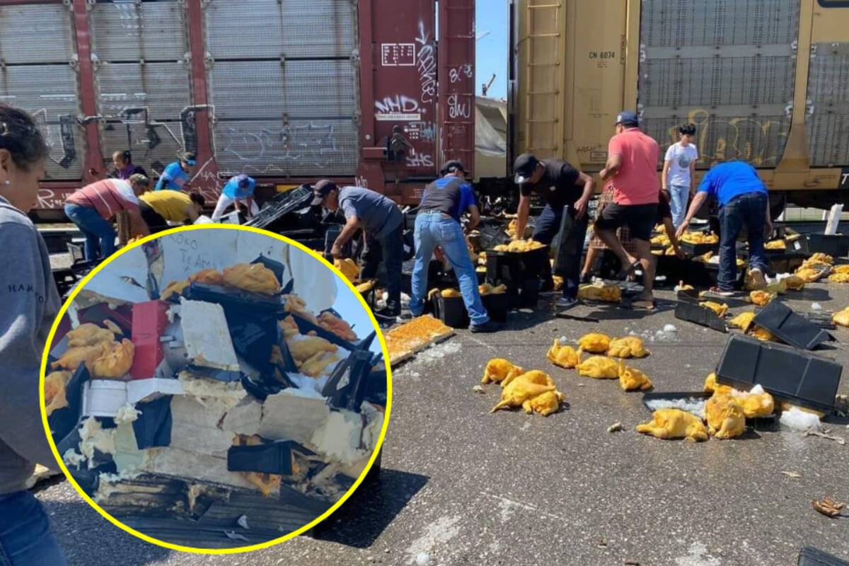 Choca tráiler y se llevan los pollos del piso para venderlos en Facebook