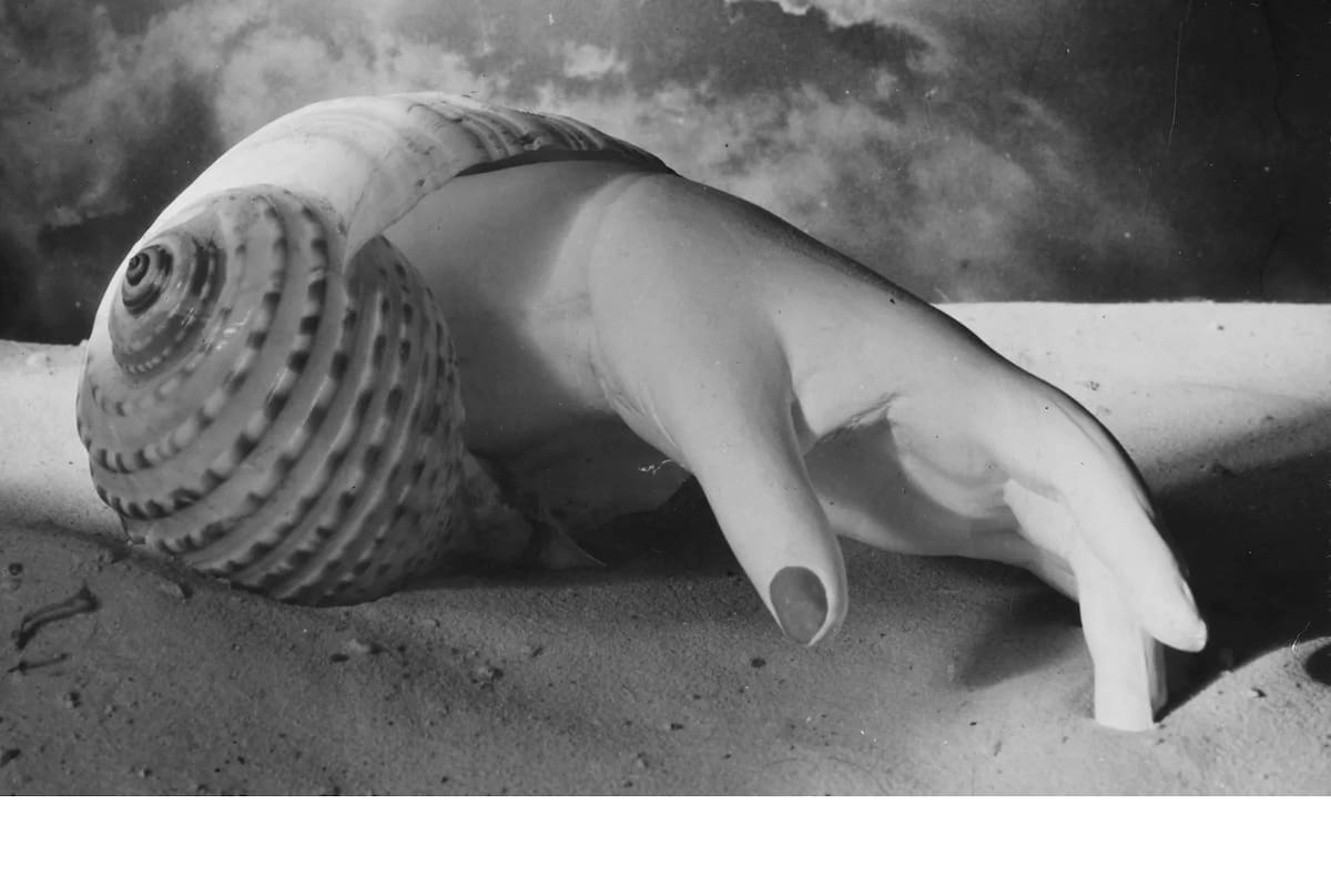 Dora Maar y una de sus creaciones más emblemáticas