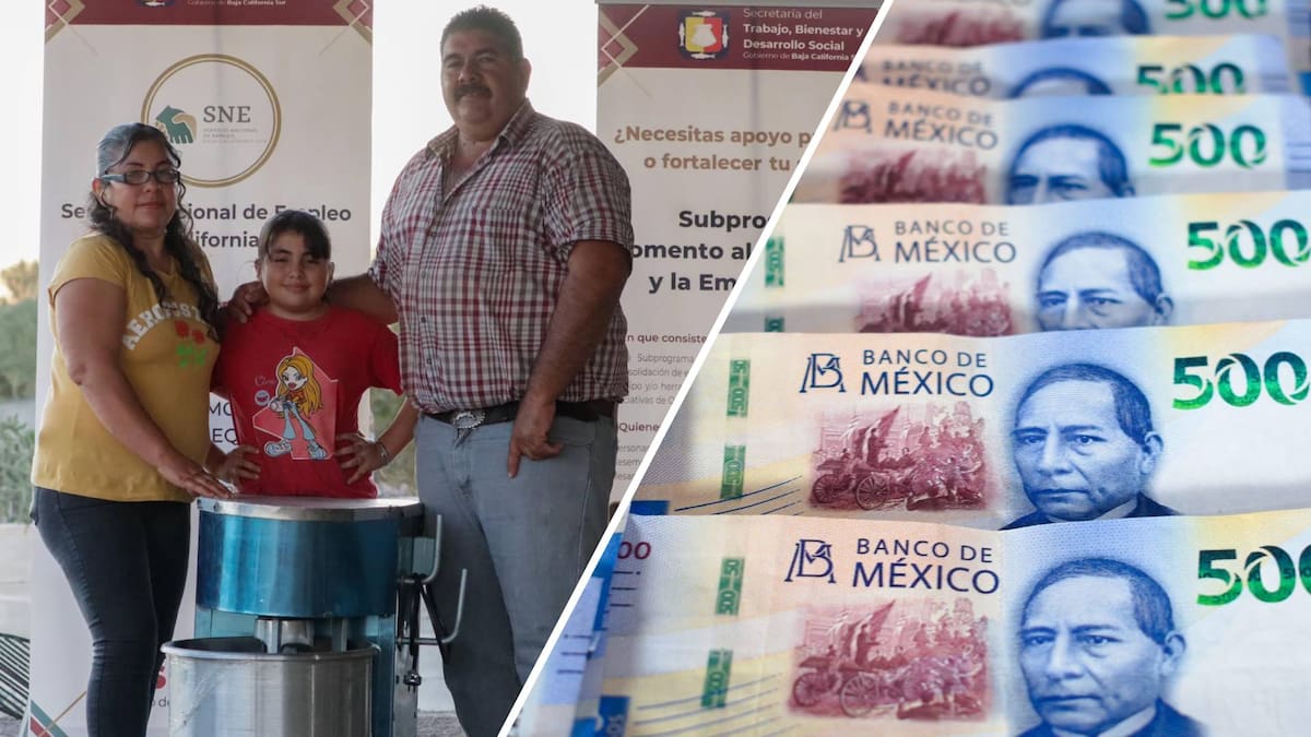Apoyo al Autoempleo para el Bienestar 2026 abre registro y entregará hasta 25 mil pesos en equipo; conoce requisitos, documentos y fechas límite