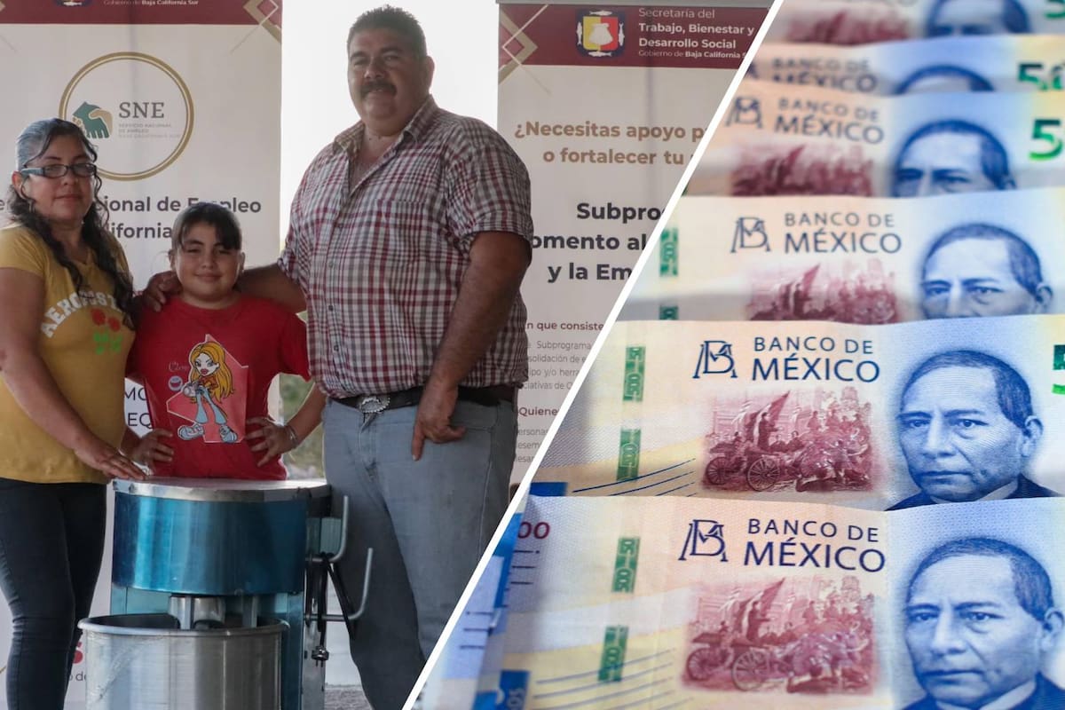 Apoyo al Autoempleo para el Bienestar 2026 abre registro y entregará hasta 25 mil pesos en equipo; conoce requisitos, documentos y fechas límite