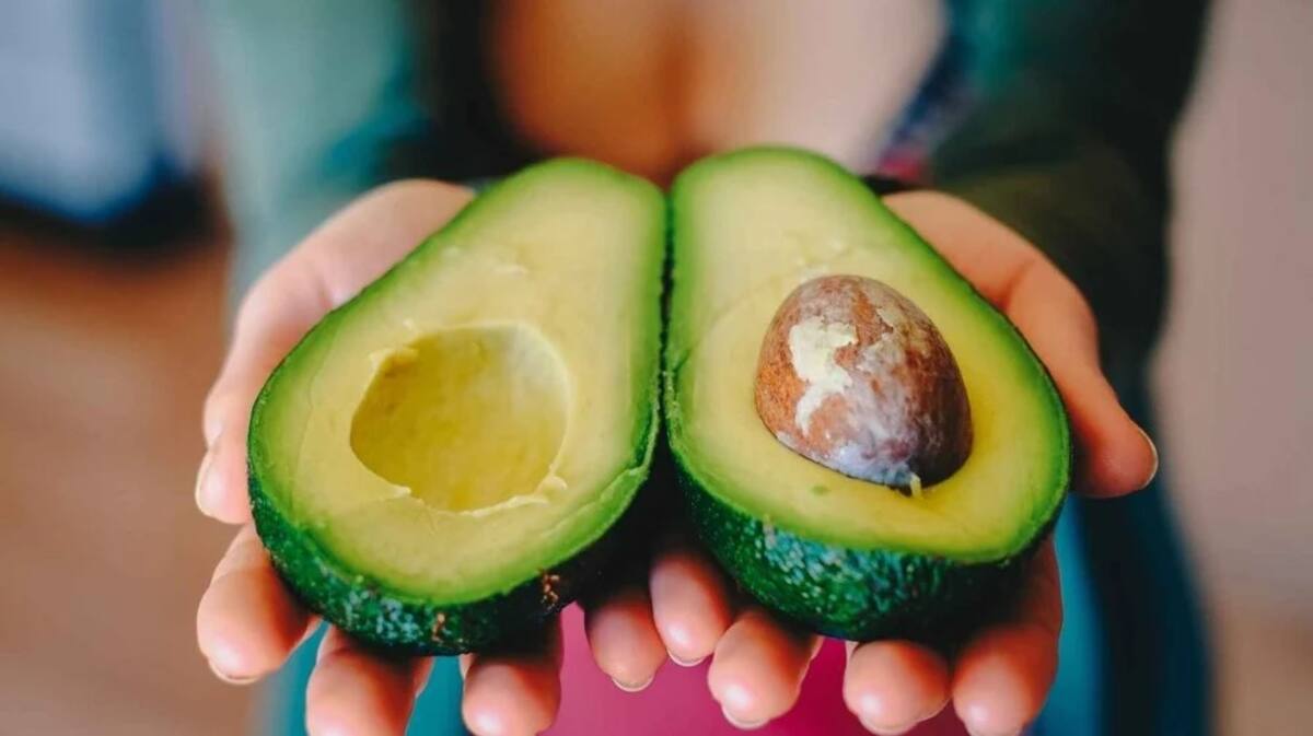Aguacate.