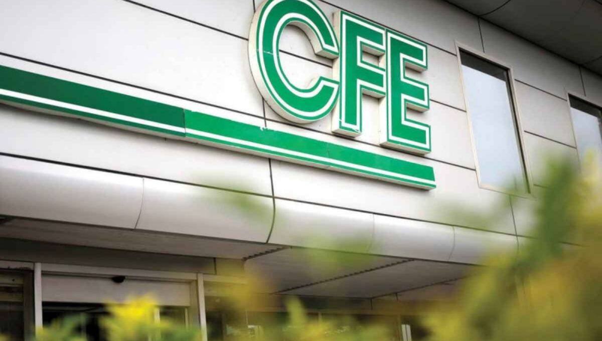 Estos consejos de la CFE te ayudarán a evitar un aumento de luz durante esta Semana Santa, mediante la optimización de recursos y hábitos eficientes.