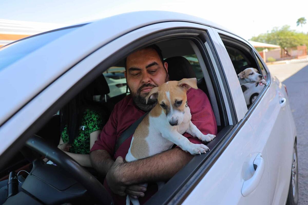 Este fin de semana, vacuna a tu mascota contra la rabia: jornada gratuita en la milla de la Unison