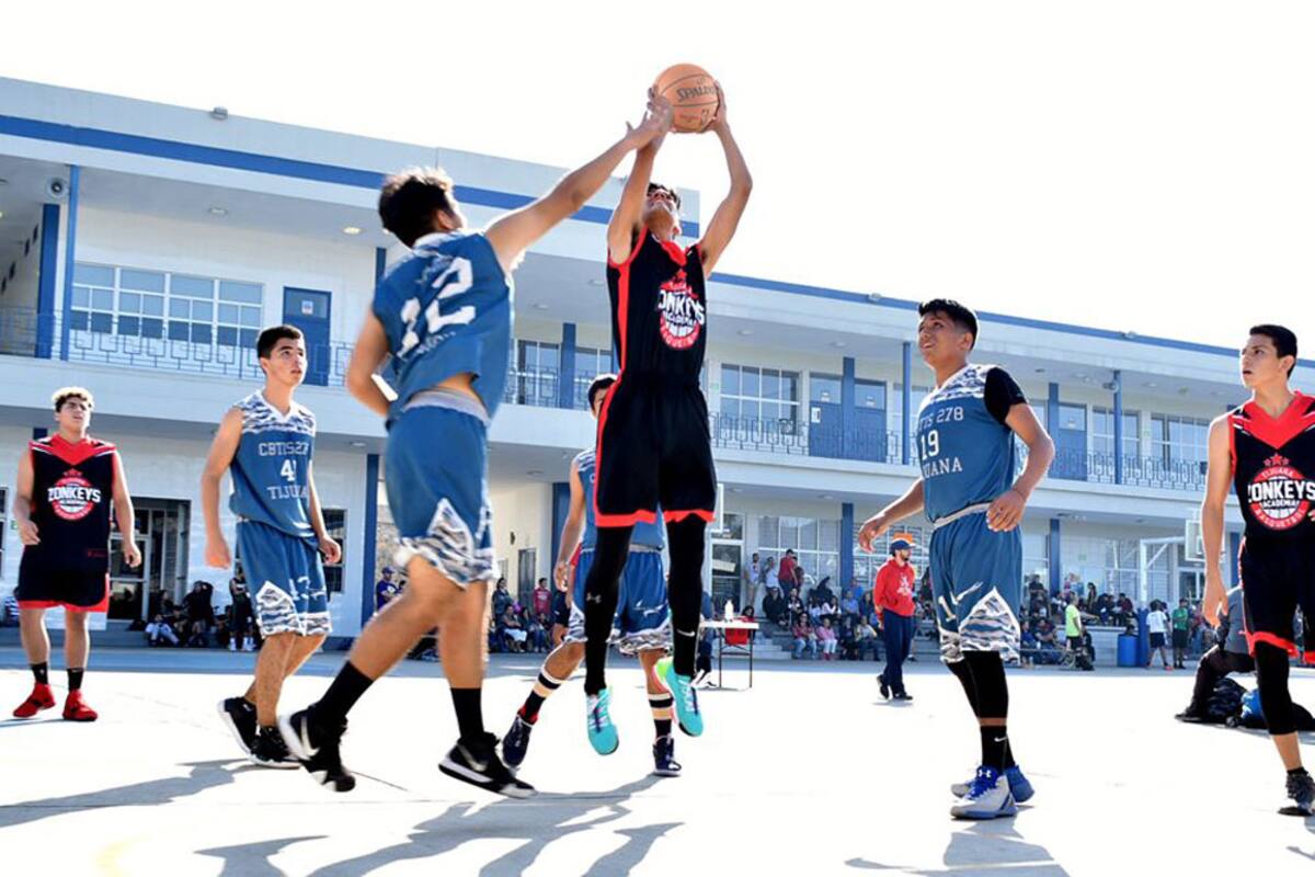 Cosecha Academia Zonkeys victorias