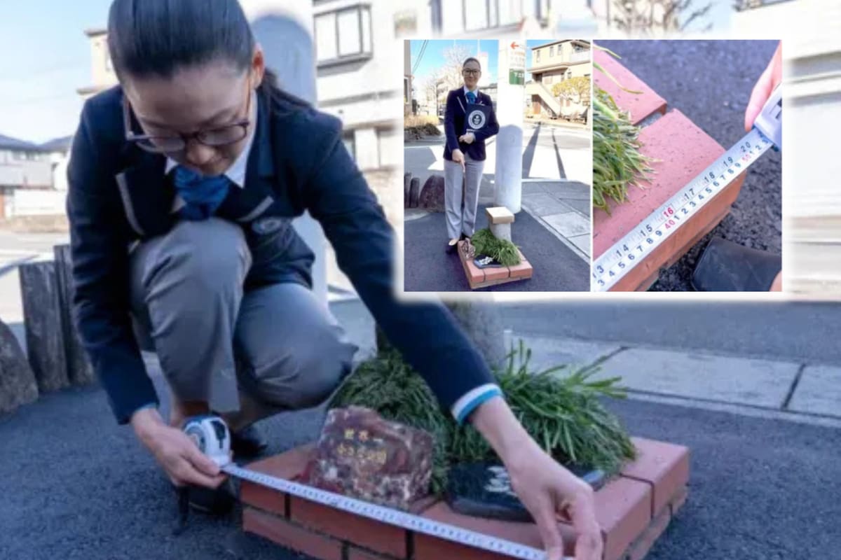 El parque más pequeño del mundo está en Japón: así nació este espacio de 0.24 metros cuadrados