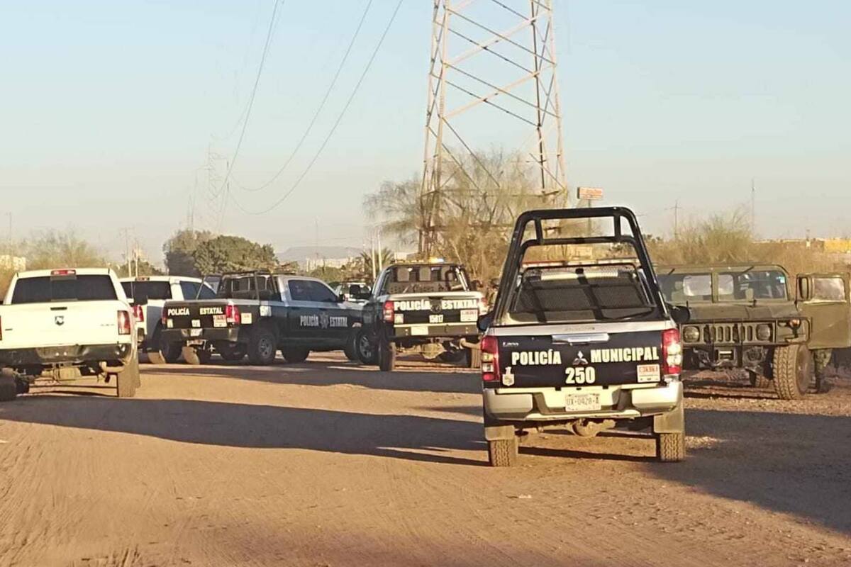 Hallan hielera con restos humanos en Ciudad Obregón