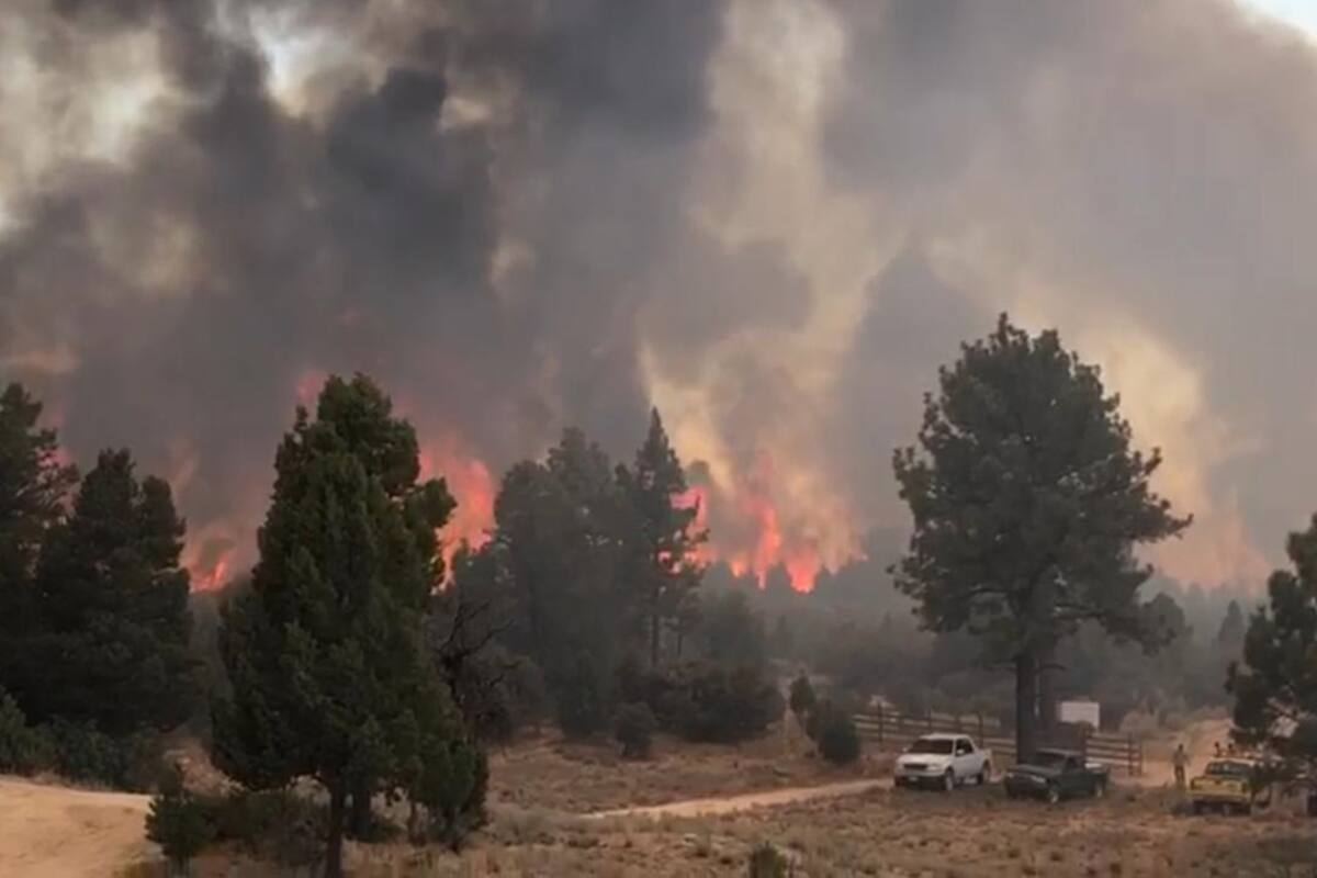 Advierten por riesgo de incendios forestales