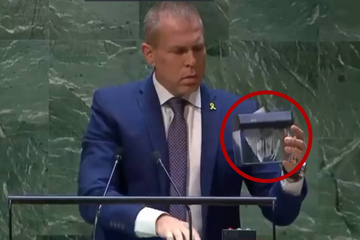 ¿Por qué el embajador de Israel rompió Carta de la ONU en Asamblea General?