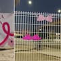El grupo Cucas saldrá a las calles de Hermosillo con 12 tendederos de brasieres este 19 de octubre por el cáncer de mama