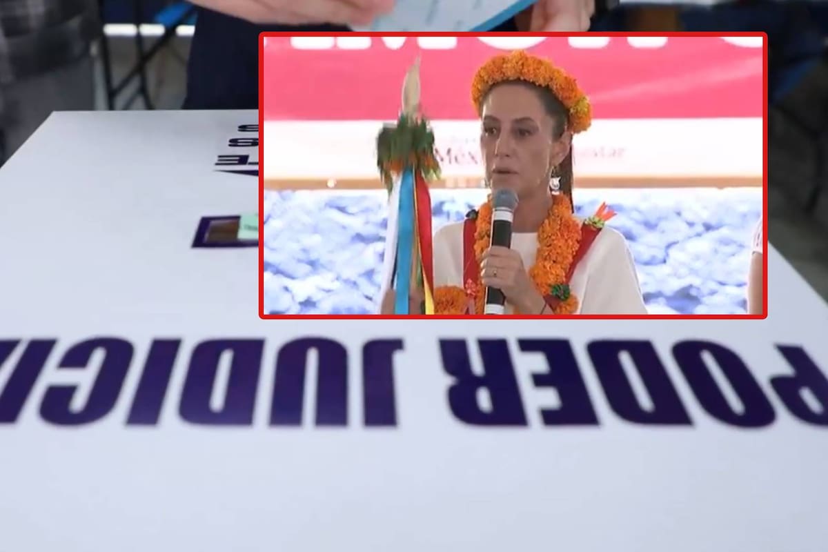 “No está dentro de sus funciones dar recomendaciones”, Sheinbaum descalifica informe de la OEA tras  elecciones al Poder Judicial