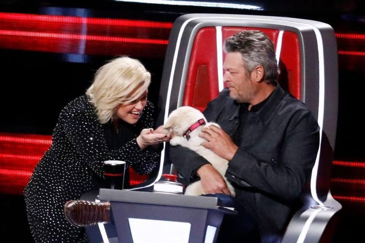 Blake Shelton intenta alejar de Nick Jonas a concursantes de “La voz” con un cachorro