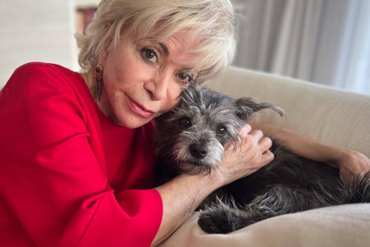 Isabel Allende debuta en la literatura infantil con "Perla, la súper perrita"