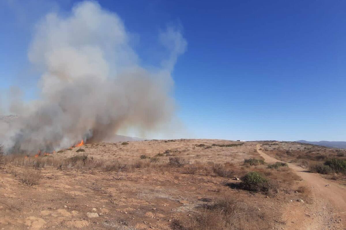 Combaten más de ocho incendios en Ensenada
