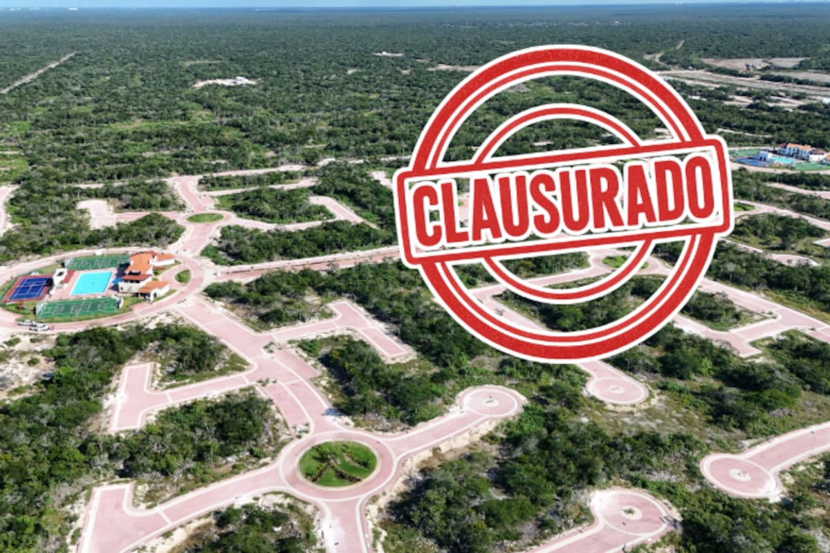 Profepa clausura proyecto inmobiliario en Yucatán: detectan remoción ilegal de vegetación y obras fuera del área autorizada